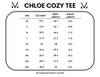 IN STOCK Chloe Cozy Tee - Grey | Women's V-Neck Top